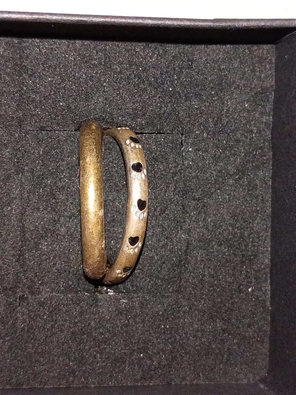 Paw Print Band Ring And Plain Band Ring Set